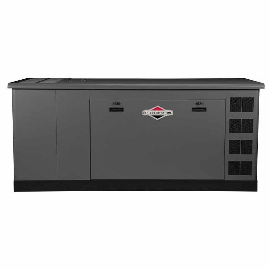 Briggs & Stratton 76850 (48kW Standby Generator)